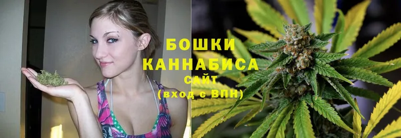 Бошки марихуана SATIVA & INDICA  купить  сайты  маркетплейс как зайти  Чистополь 